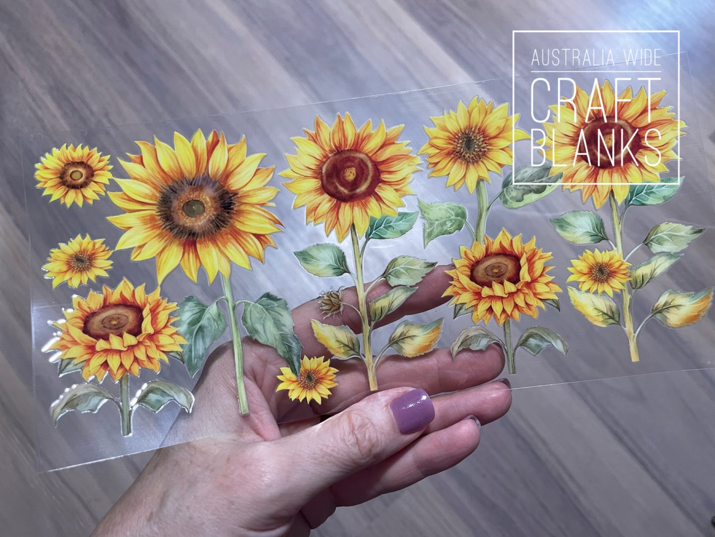Sunflower Plant