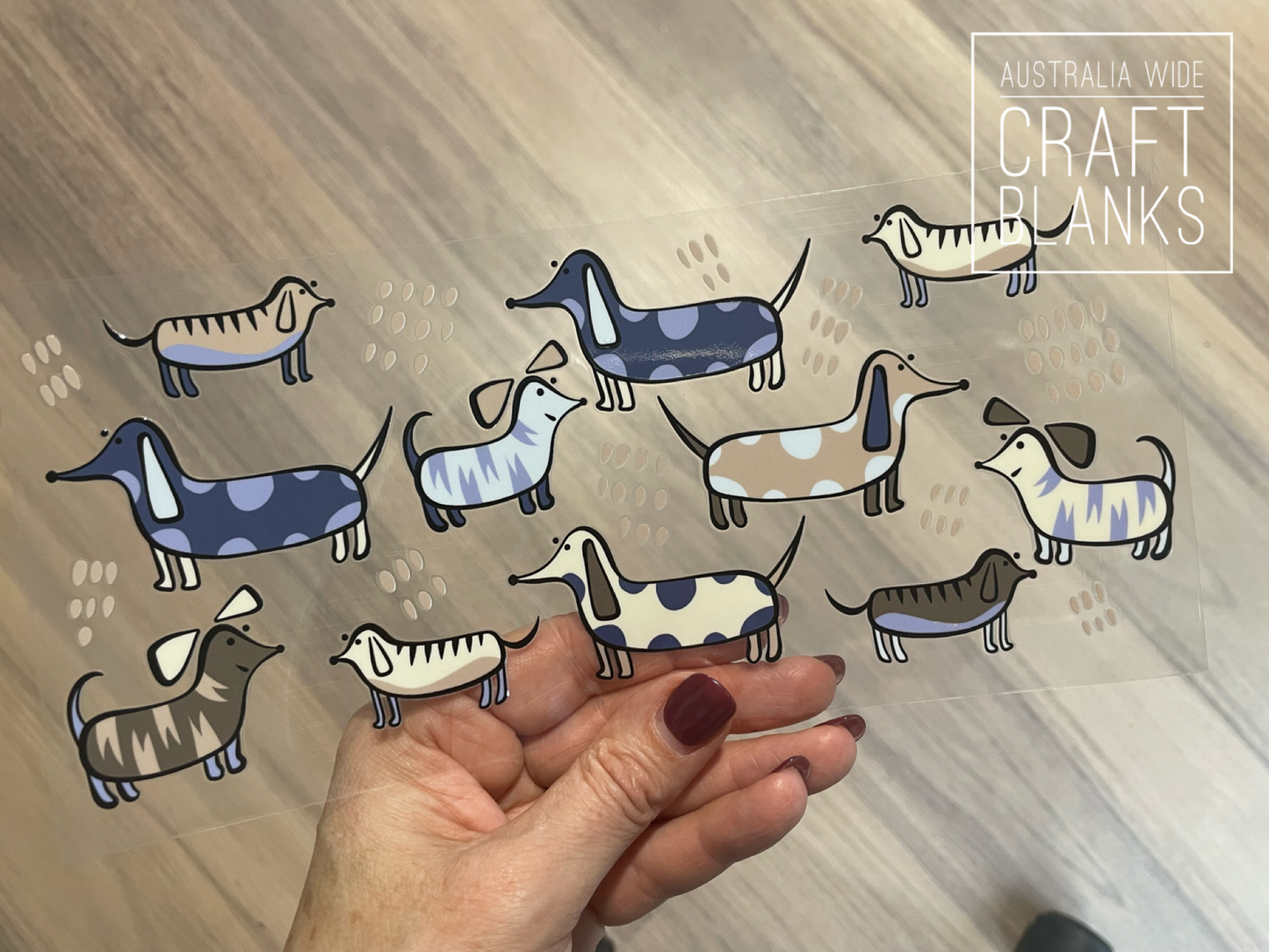 Dachshund Pups