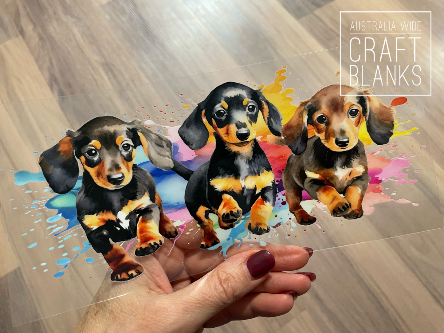 Dachshund