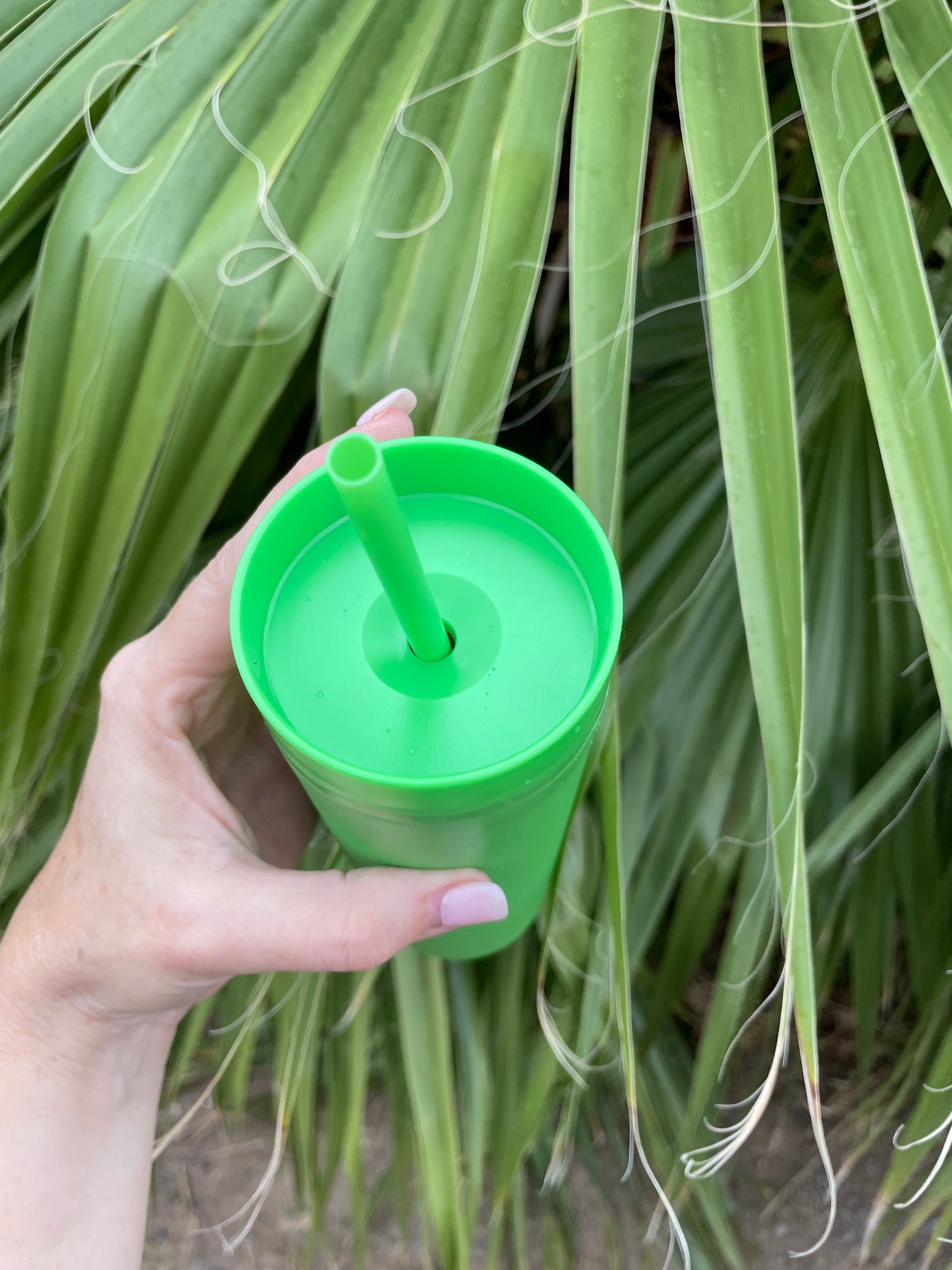 Acrylic Skinny Tumbler