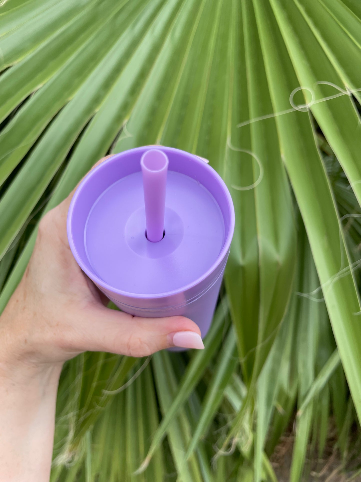 Acrylic Skinny Tumbler