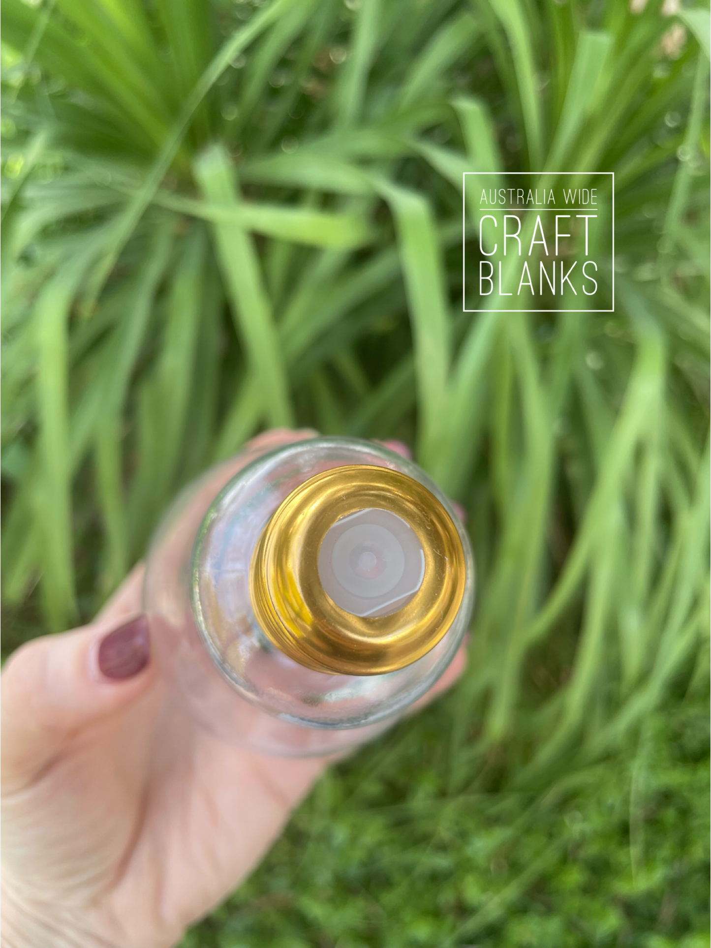 Clear Light Bulb - LIMITED STOCK