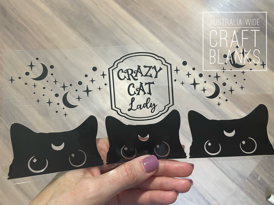 Crazy Cat Lady