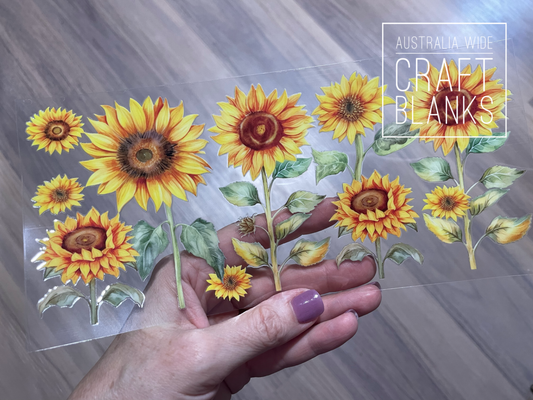 Sunflower Plant