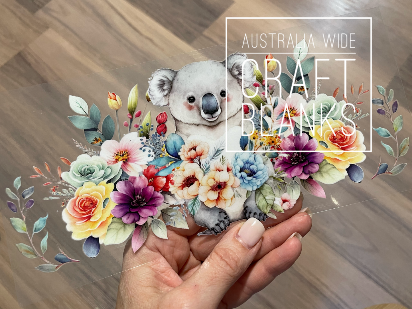 Koala