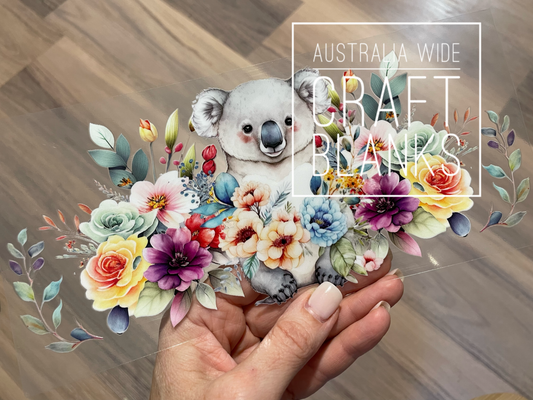 Koala