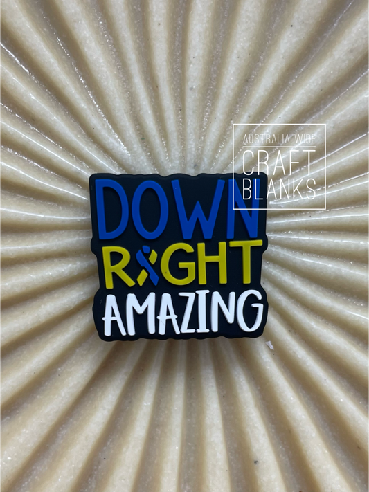 Down Right Amazing - Silicone Bead - #242