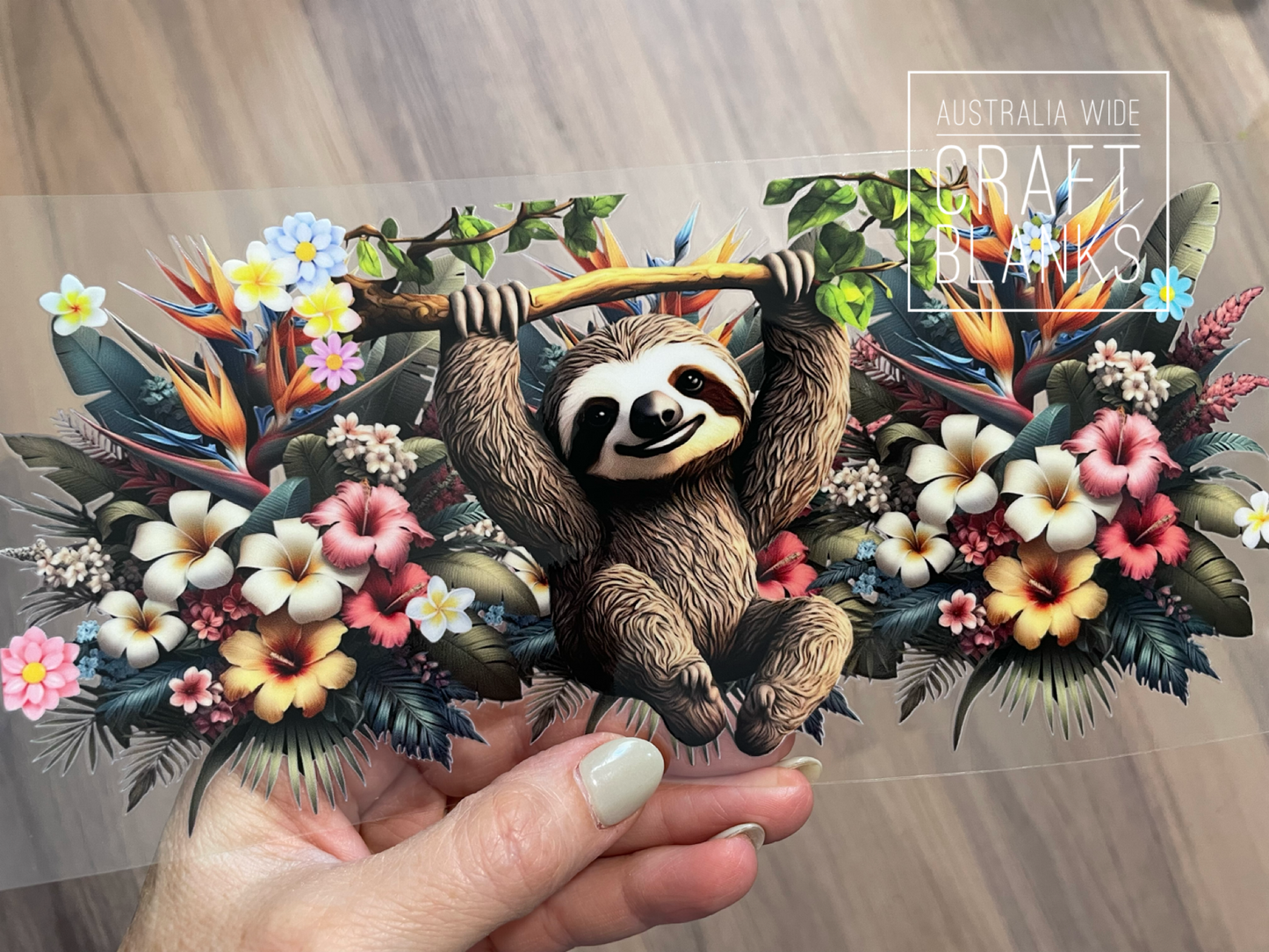 Hanging Sloth