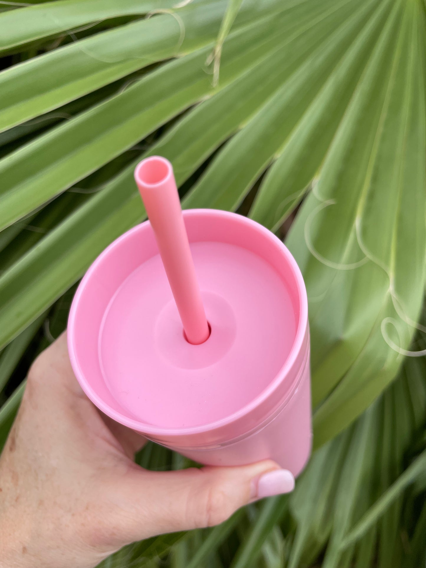Acrylic Skinny Tumbler